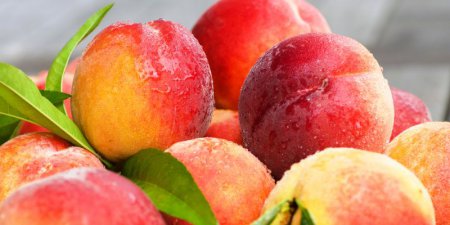 Смачна і здорова персикова дієта